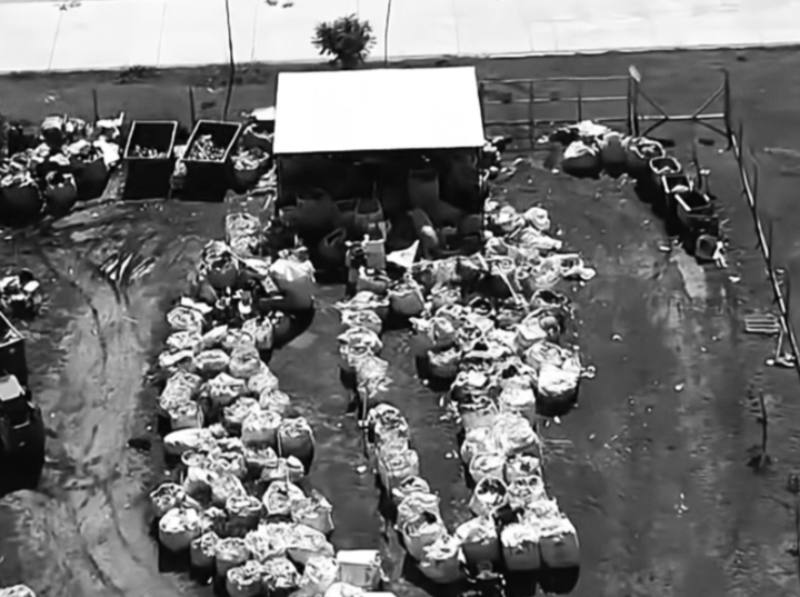 Imagen de General Lagos: Mejoran la infraestructura de la Planta de Reciclaje