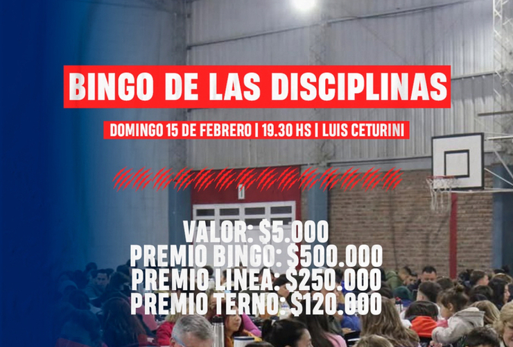 Imagen de El 15/02, Bingo de las Disciplinas en Talleres