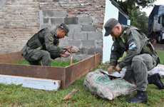 Imagen de Tr&aacute;fico de fauna en la Ruta 34: rescatan 150 tortugas y 100 loros ocultos en un cami&oacute;n