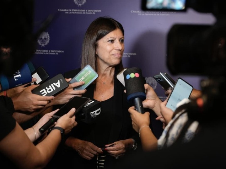 Imagen de Clara García fue reelecta como presidenta de la Cámara de Diputados y Diputadas de la provincia Imagen de Clara García fue reelecta como presidenta de la Cámara de Diputados y Diputadas de la provincia