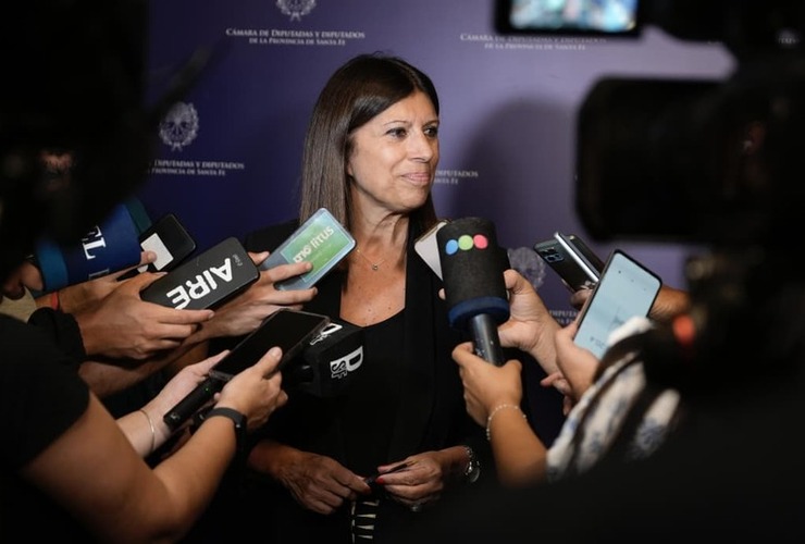 Imagen de Clara García fue reelecta como presidenta de la Cámara de Diputados y Diputadas de la provincia Imagen de Clara García fue reelecta como presidenta de la Cámara de Diputados y Diputadas de la provincia