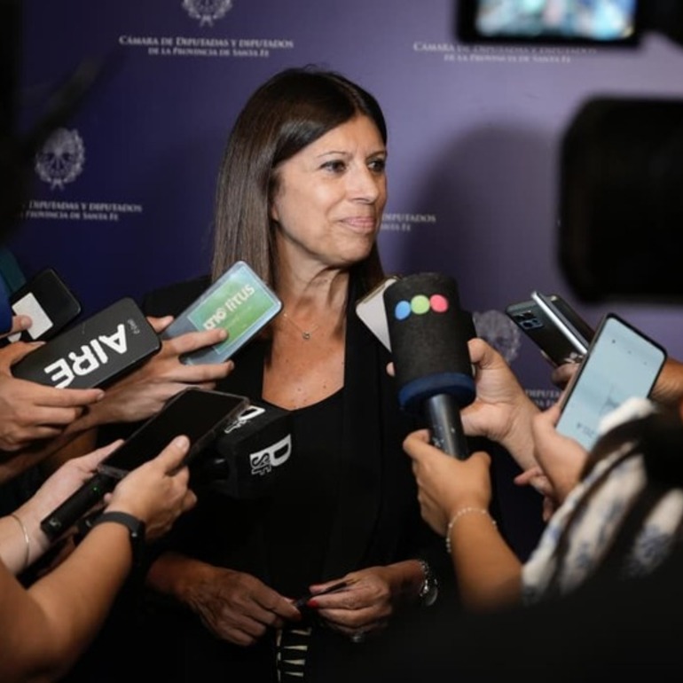 Imagen de Clara Garc&iacute;a fue reelecta como presidenta de la C&aacute;mara de Diputados y Diputadas de la provincia