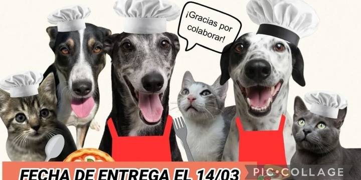Imagen de Bicheros de Arroyo Seco lanz&oacute; una venta solidaria de pizzas para afrontar deudas