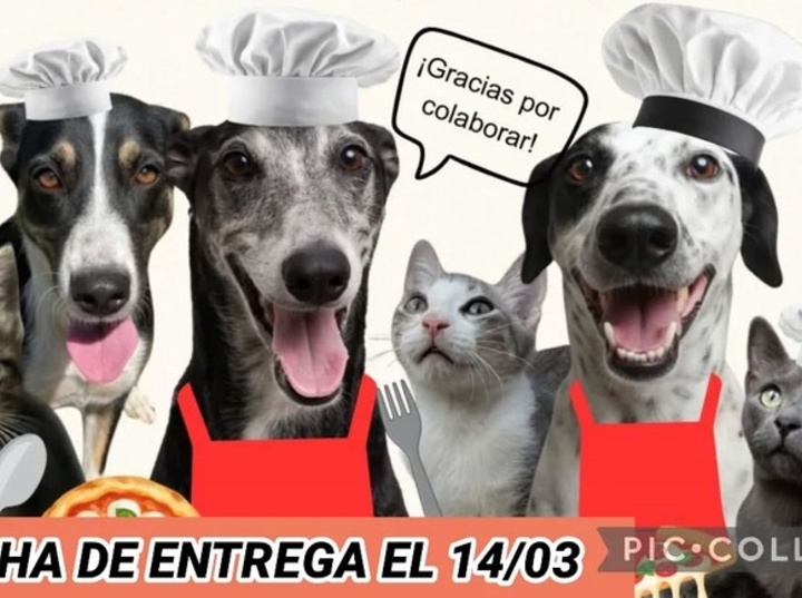 Imagen de Bicheros de Arroyo Seco lanz&oacute; una venta solidaria de pizzas para afrontar deudas