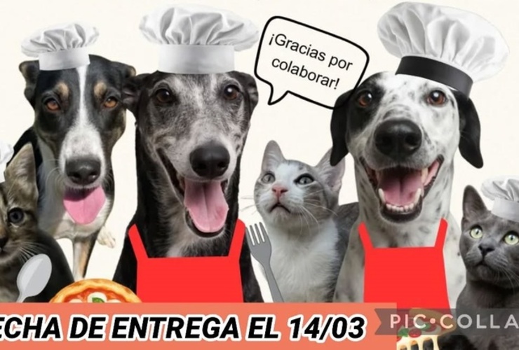 Imagen de Bicheros de Arroyo Seco lanz&oacute; una venta solidaria de pizzas para afrontar deudas