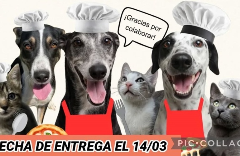 Imagen de Bicheros de Arroyo Seco lanz&oacute; una venta solidaria de pizzas para afrontar deudas