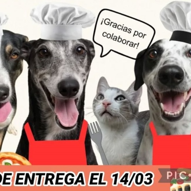 Imagen de Bicheros de Arroyo Seco lanz&oacute; una venta solidaria de pizzas para afrontar deudas