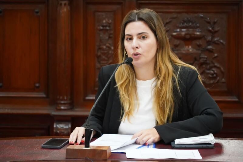 Imagen de Cattalini: �La legitimidad de la Corte se construye con participaci&oacute;n ciudadana�