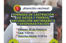 Imagen de Alvear realizar&aacute; jornada de castraci&oacute;n, vacunaci&oacute;n antirr&aacute;bica y desparasitaci&oacute;n