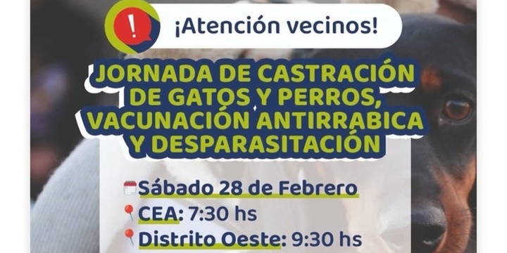 Imagen de Alvear realizará jornada de castración, vacunación antirrábica y desparasitación Imagen de Alvear realizará jornada de castración, vacunación antirrábica y desparasitación