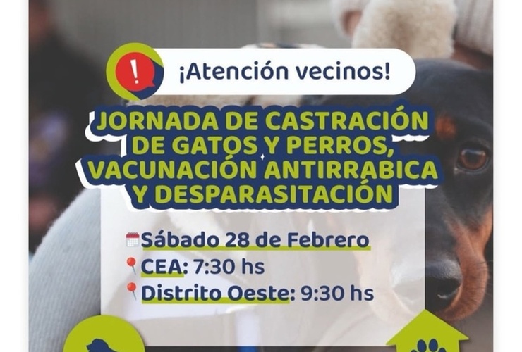 Imagen de Alvear realizar&aacute; jornada de castraci&oacute;n, vacunaci&oacute;n antirr&aacute;bica y desparasitaci&oacute;n