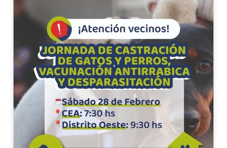 Imagen de Alvear realizar&aacute; jornada de castraci&oacute;n, vacunaci&oacute;n antirr&aacute;bica y desparasitaci&oacute;n