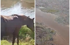 El antes y el despu&eacute;s del arroyo Seco que desemboca en el R&iacute;o Paran&aacute;,