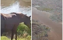 El antes y el despu&eacute;s del arroyo Seco que desemboca en el R&iacute;o Paran&aacute;,