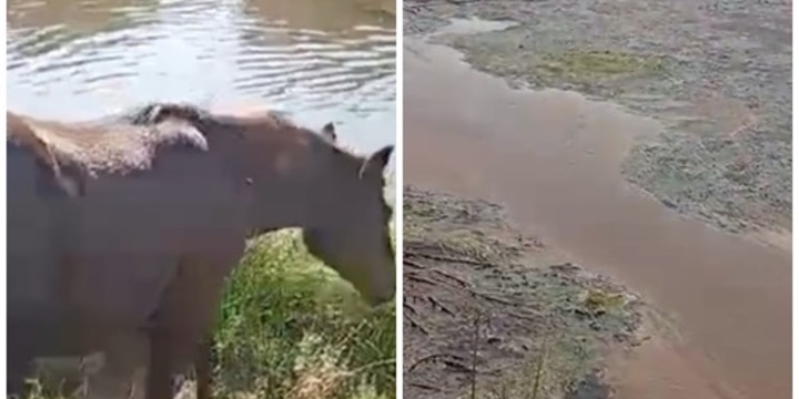 El antes y el despu&eacute;s del arroyo Seco que desemboca en el R&iacute;o Paran&aacute;,