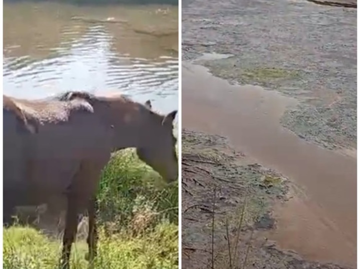 El antes y el despu&eacute;s del arroyo Seco que desemboca en el R&iacute;o Paran&aacute;,