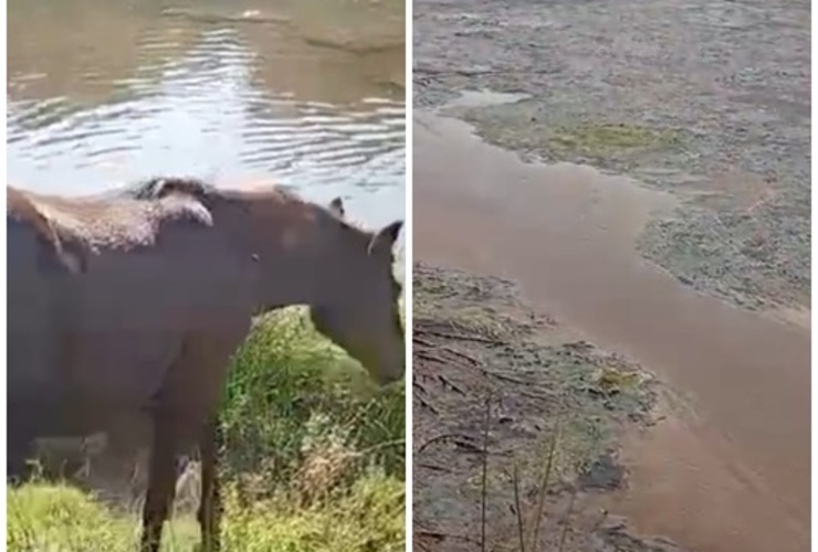 El antes y el despu&eacute;s del arroyo Seco que desemboca en el R&iacute;o Paran&aacute;,