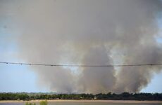 Imagen de Alerta ambiental: el fuego arras&oacute; m&aacute;s de 400 hect&aacute;reas en las islas frente a Rosario