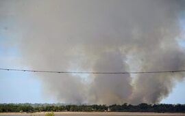 Imagen de Alerta ambiental: el fuego arras&oacute; m&aacute;s de 400 hect&aacute;reas en las islas frente a Rosario