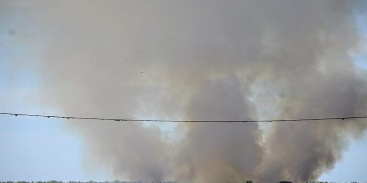 Imagen de Alerta ambiental: el fuego arras&oacute; m&aacute;s de 400 hect&aacute;reas en las islas frente a Rosario