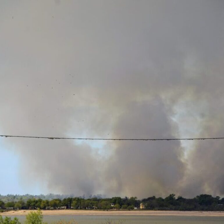 Imagen de Alerta ambiental: el fuego arras&oacute; m&aacute;s de 400 hect&aacute;reas en las islas frente a Rosario