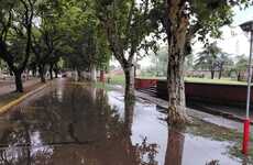 Imagen de Con 18 mm de lluvia, el Bv. Mansueto Maiorano volvi&oacute; a inundarse