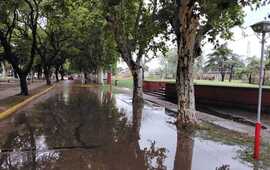 Imagen de Con 18 mm de lluvia, el Bv. Mansueto Maiorano volvi&oacute; a inundarse