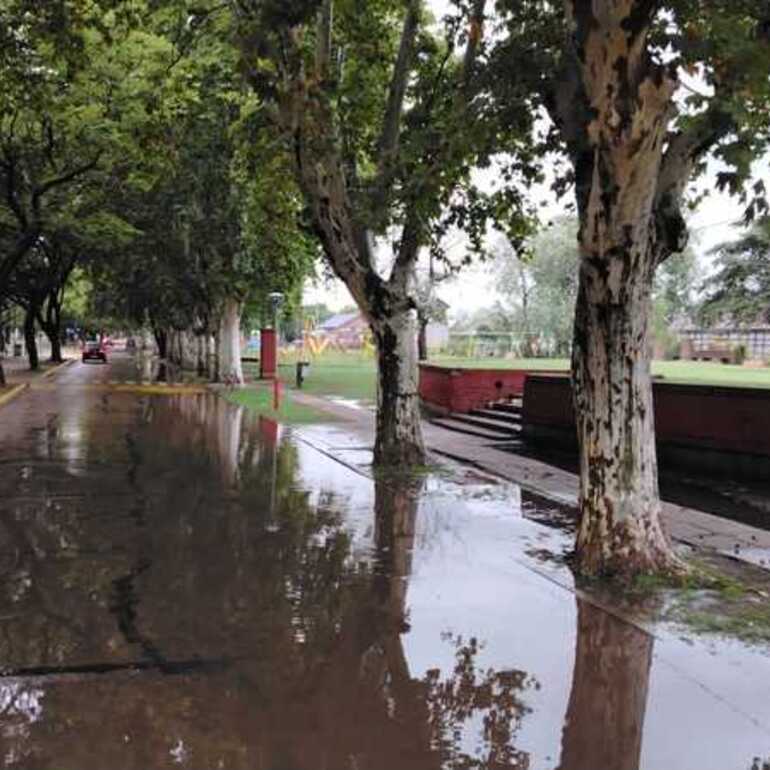 Imagen de Con 18 mm de lluvia, el Bv. Mansueto Maiorano volvi&oacute; a inundarse
