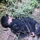 Foto: Diario La Ciudad