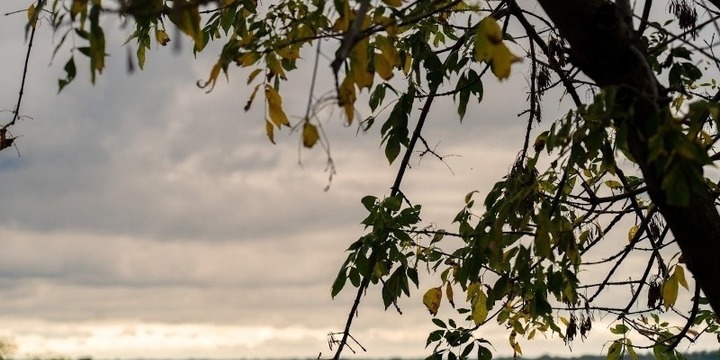 Imagen de Arranque de semana inestable en la región Imagen de Arranque de semana inestable en la región