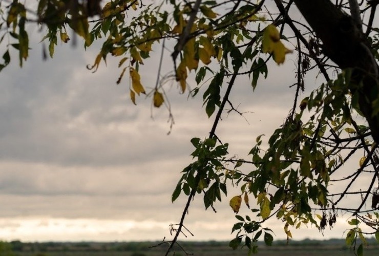 Imagen de Arranque de semana inestable en la región Imagen de Arranque de semana inestable en la región