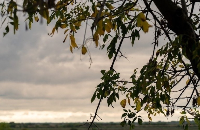 Imagen de Arranque de semana inestable en la regi&oacute;n