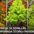 Imagen de Entrega gratuita de semillas de huerta para la temporada oto&ntilde;o/invierno en el vivero Estaci&oacute;n Verde