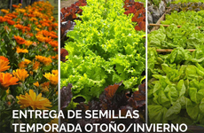 Imagen de Entrega gratuita de semillas de huerta para la temporada oto&ntilde;o/invierno en el vivero Estaci&oacute;n Verde