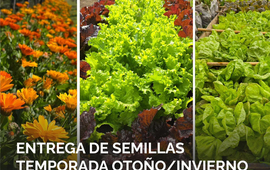 Imagen de Entrega gratuita de semillas de huerta para la temporada oto&ntilde;o/invierno en el vivero Estaci&oacute;n Verde