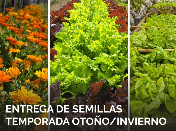 Imagen de Entrega gratuita de semillas de huerta para la temporada oto&ntilde;o/invierno en el vivero Estaci&oacute;n Verde
