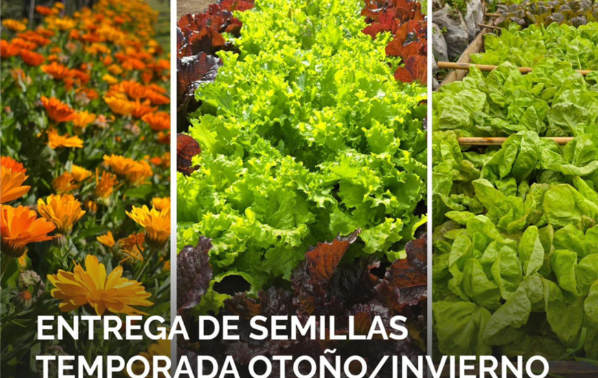 Imagen de Entrega gratuita de semillas de huerta para la temporada oto&ntilde;o/invierno en el vivero Estaci&oacute;n Verde
