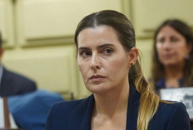 Imagen de Cattalini solicit&oacute; al Consejo de la Magistratura suspender al Juez Federal Salmain