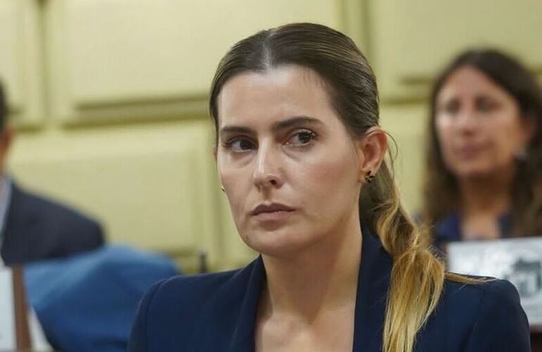 Imagen de Cattalini solicit&oacute; al Consejo de la Magistratura suspender al Juez Federal Salmain