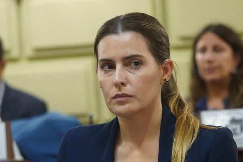 Imagen de Cattalini solicit&oacute; al Consejo de la Magistratura suspender al Juez Federal Salmain