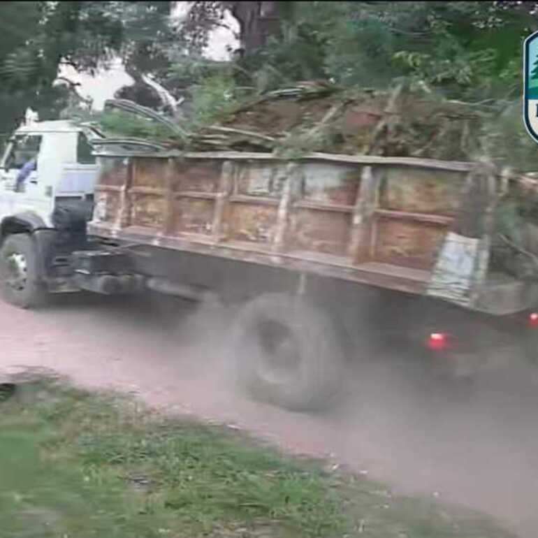Una de las im&aacute;genes tomadas por los vecinos.