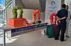 Imagen de Hist&oacute;rica jornada en Santa Fe: el Cemafe realizar&aacute; m&aacute;s de 100 colonoscop&iacute;as gratuitas