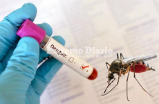 Imagen de Alerta sanitaria en Santa Fe: investigan si la muerte de una mujer es el primer caso de dengue de 2026