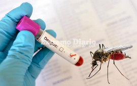 Imagen de Alerta sanitaria en Santa Fe: investigan si la muerte de una mujer es el primer caso de dengue de 2026