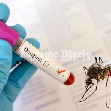 Imagen de Alerta sanitaria en Santa Fe: investigan si la muerte de una mujer es el primer caso de dengue de 2026