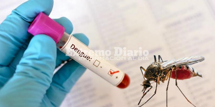 Imagen de Alerta sanitaria en Santa Fe: investigan si la muerte de una mujer es el primer caso de dengue de 2026