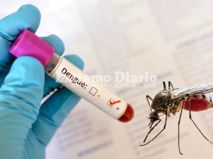 Imagen de Alerta sanitaria en Santa Fe: investigan si la muerte de una mujer es el primer caso de dengue de 2026