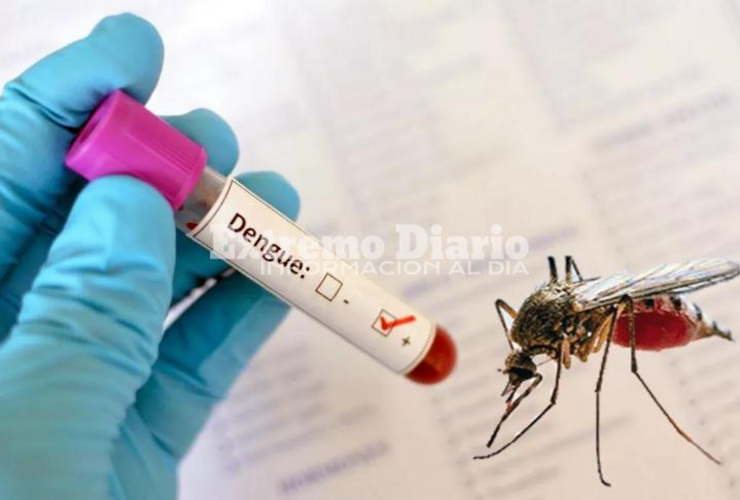 Imagen de Alerta sanitaria en Santa Fe: investigan si la muerte de una mujer es el primer caso de dengue de 2026