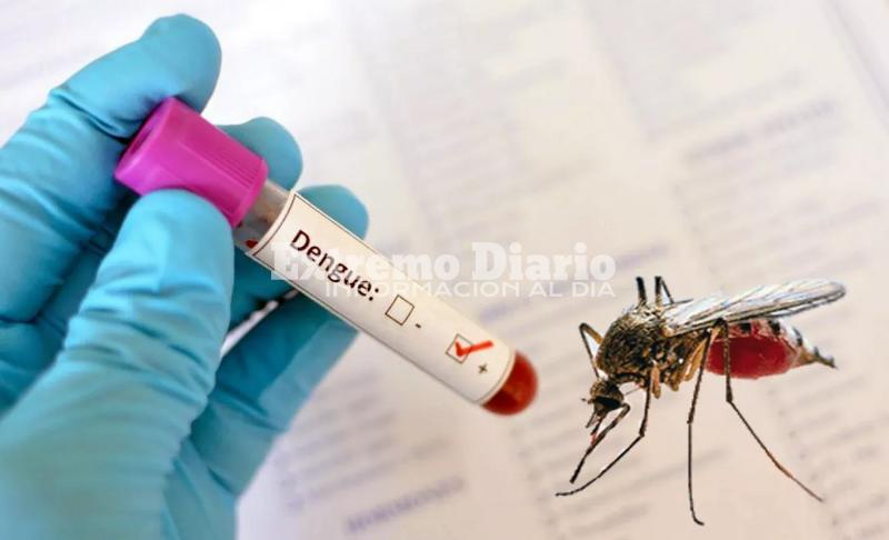 Imagen de Alerta sanitaria en Santa Fe: investigan si la muerte de una mujer es el primer caso de dengue de 2026