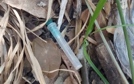 Imagen de Zona centro: una vecina encontr&oacute; una jeringa entre residuos en la vereda
